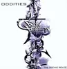 Double LP - Oddities - The Scenic Route