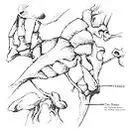 12'' - Oddjobs - Dry Bones