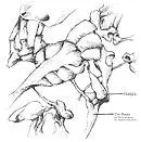 12'' - Oddjobs - Dry Bones