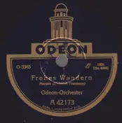 Odeon Orchester - Frohes Wandern / Die Mißglückte Jugendzeit