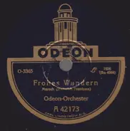 Odeon Orchester / Unknown Artist - Frohes Wandern / Die Mißglückte Jugendzeit