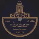 Schellack - Odeon Orchester / Unknown Artist - Frohes Wandern / Die Mißglückte Jugendzeit
