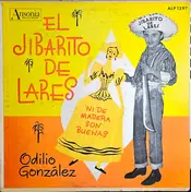 Odilio González - Ni de Madera Son Buenas