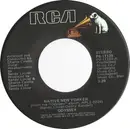 7'' - Odyssey - Native New Yorker