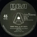 12inch Vinyl Single - Odyssey - Going Back To My Roots