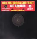 12inch Vinyl Single - Örth - Big Brother Is Watching You