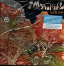 LP - Of Montreal - Aureate Gloom - Blue Marble vinyl/ Incl. poster