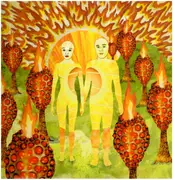 Double LP - Of Montreal - The Sunlandic Twins