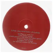 Double LP - Of Montreal - The Sunlandic Twins