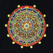 Double LP - Of Montreal - Hissing Fauna, Are You The Destroyer? - 180g + OIS