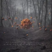 CD - Of Norway - Accretion
