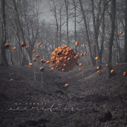 Of Norway - Accretion