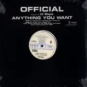 12'' - Official - Anything You Want