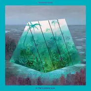 Okkervil River - In The Rainbow Rain Ltd.