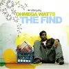 Double LP - Ohmega Watts - The Find