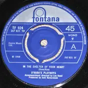 O'Hara's Playboys - In The Shelter Of Your Heart
