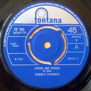 O'Hara's Playboys - Spicks And Specks