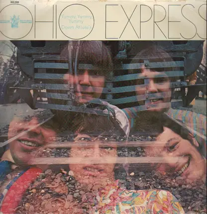 Ohio Express - The Ohio Express