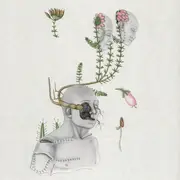 LP - øjeRum - Coiled Souls - Sunlit Forest Green vinyl/ Incl. booklet