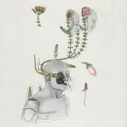 øjeRum - Coiled Souls
