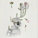 LP - øjeRum - Coiled Souls - Sunlit Forest Green vinyl/ Incl. booklet