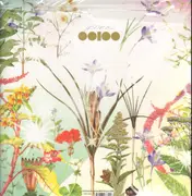 Double LP - Ooioo - Gamel