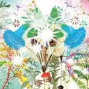 Double LP - OOIOO - Gamel