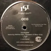 12inch Vinyl Single - Ol' Dirty Bastard - Intoxicated