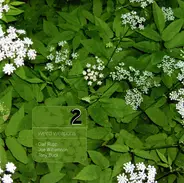 Olaf Rupp , Joe Williamson , Tony Buck - Weird Weapons 2