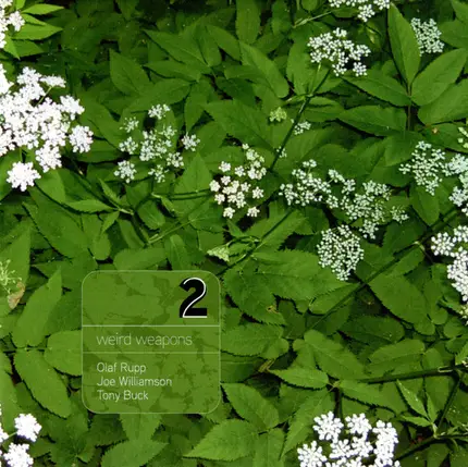 Olaf Rupp , Joe Williamson , Tony Buck - Weird Weapons 2