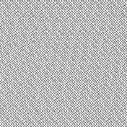 Ólafur Arnalds & Nils Frahm - Loon