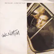 7inch Vinyl Single - One Nation - What You See...Is What You've Got