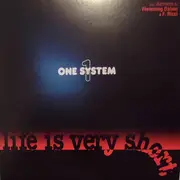 12inch Vinyl Single - One System - Life Is Very Short