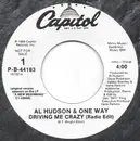 7inch Vinyl Single - One Way - Driving Me Crazy