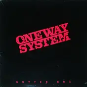 One Way System - Gutter Box