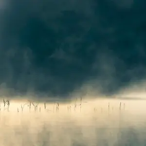 ONEIROGEN - Convivium