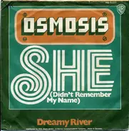 Osmosis - She (Didn't Remember My Name)
