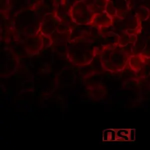 Osi - Blood