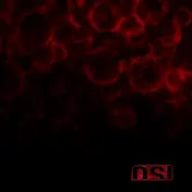 OSI - Blood