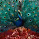 LP & CD - Opeth - Sorceress - Pink Vinyl, LTD Ed, Box Set