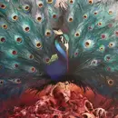 Double LP - Opeth - Sorceress - Picture disc, Ltd Ed