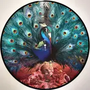 Double LP - Opeth - Sorceress - Picture disc, Ltd Ed