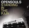 LP - Opensouls - Standing In The Rain