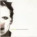 CD - Operator - Welcome To The Wonderful World