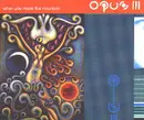 12'' - Opus III - When You Made The Mountain