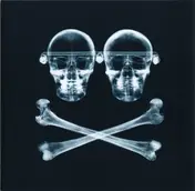 Orbital - The Altogether