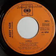 7inch Vinyl Single - Orchester Addy Flor - Ludmilla