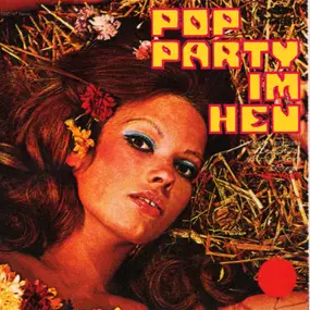 Orchester Kay Webb - Pop-Party Im Heu