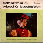 Orchester Hans Conselmann - Schwarzwald, wie schön ist deine Welt