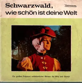 Orchester Hans Conselmann - Schwarzwald, wie schön ist deine Welt